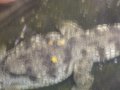IMGP0902.JPG